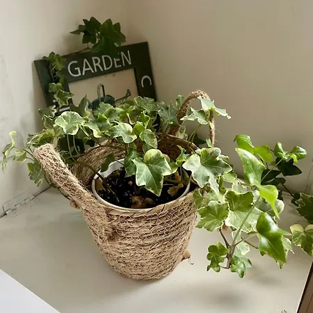 Lägenhet In Francaise Mers-les-Bains